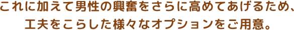 これに加えて男性の興奮をさらに高めてあげるため、工夫を凝らした様々なオプションをご用意。