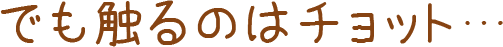 でも触るのはチョット…