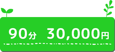90分　30,000円