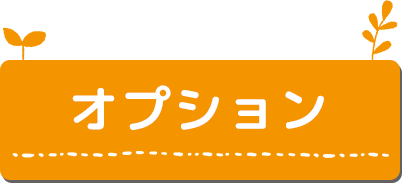 オプション