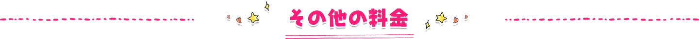 その他の料金