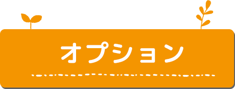 オプション