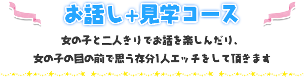 お話し+見学コース