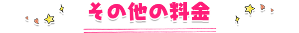 その他の料金